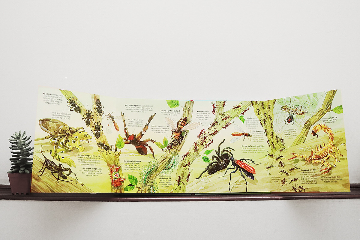 Big Book Of Big Bugs – Cuốn Sách Khổng Lồ Về Những Con Bọ