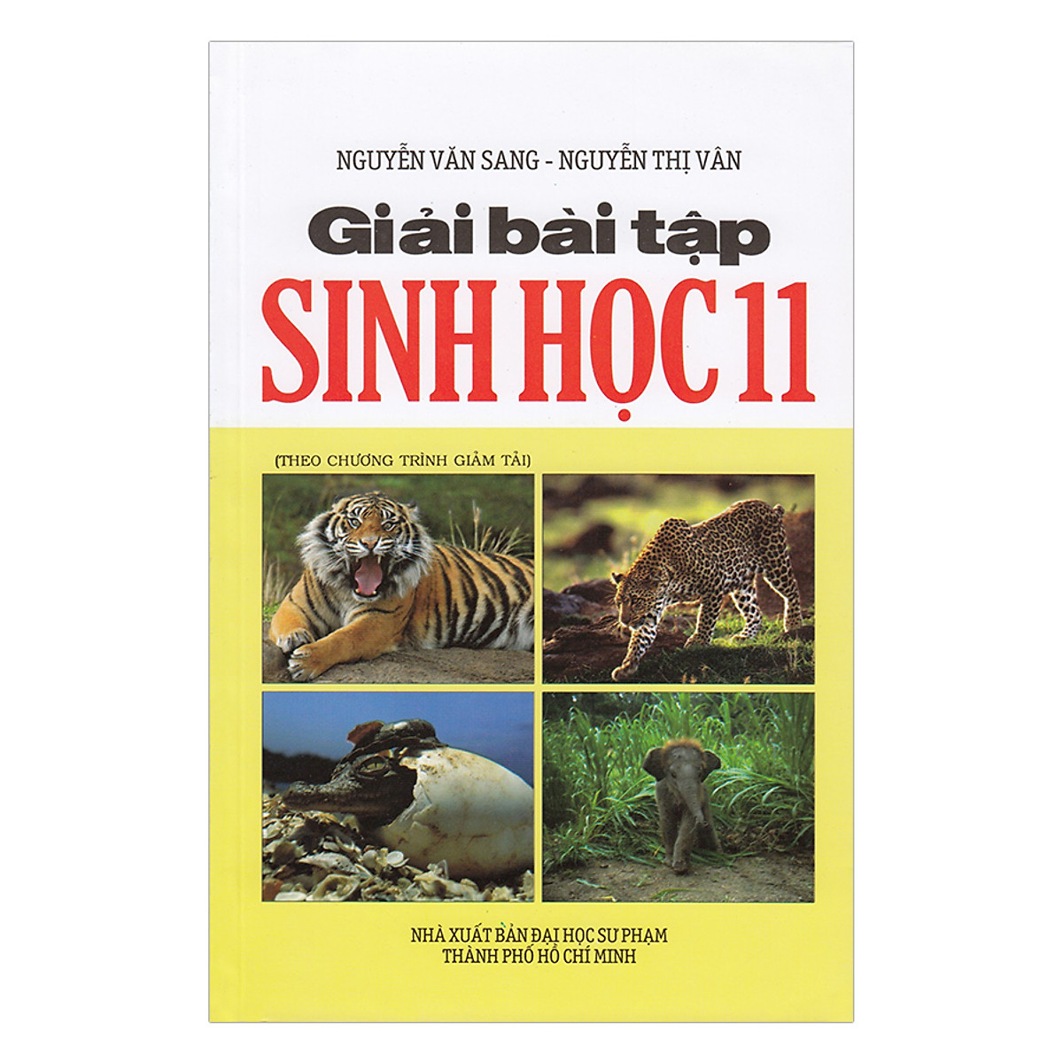 Giải Bài Tập Sinh Học Lớp 11