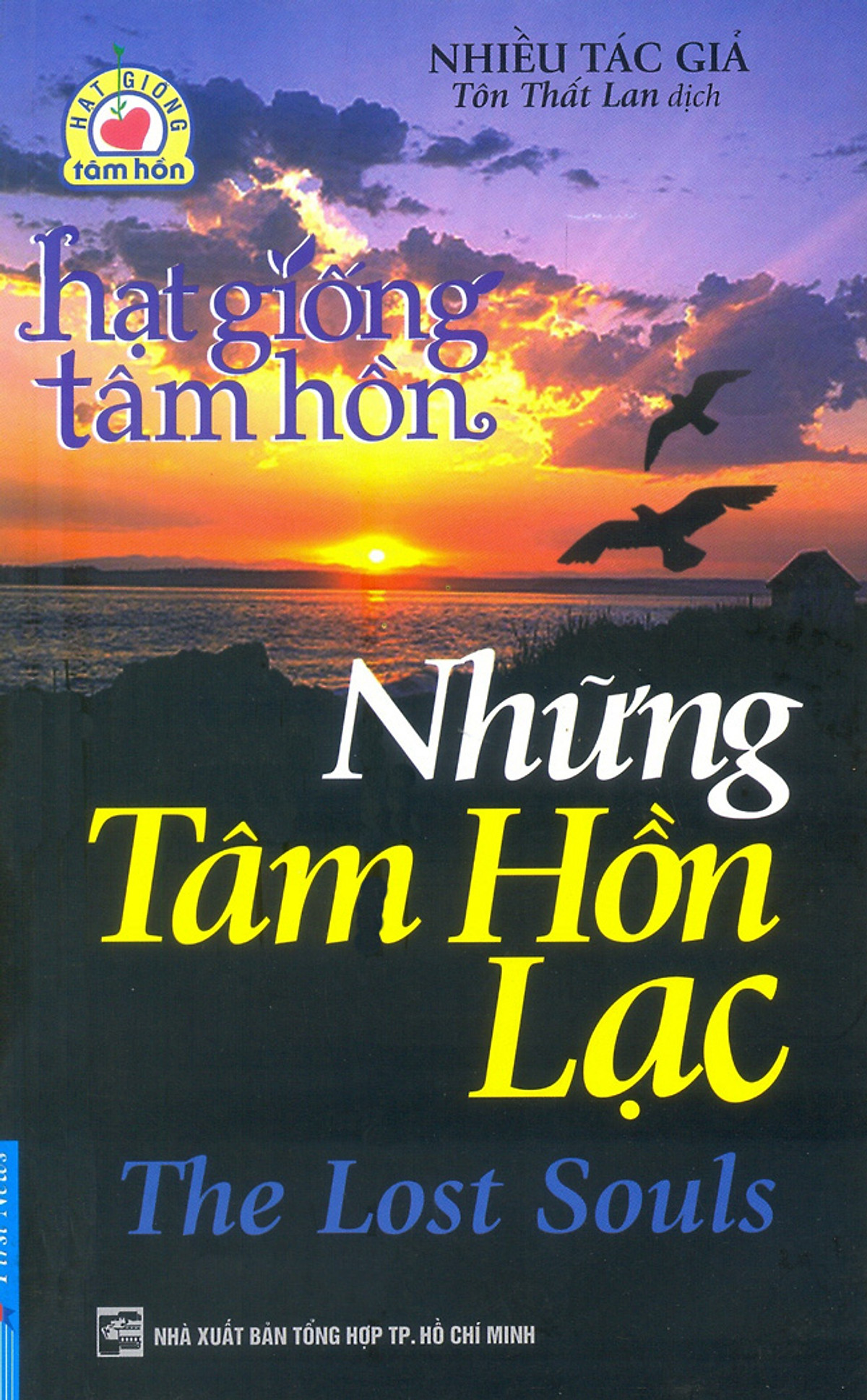 Hạt Giống Tâm Hồn - Những Tâm Hồn Lạc (Tái Bản 2016)