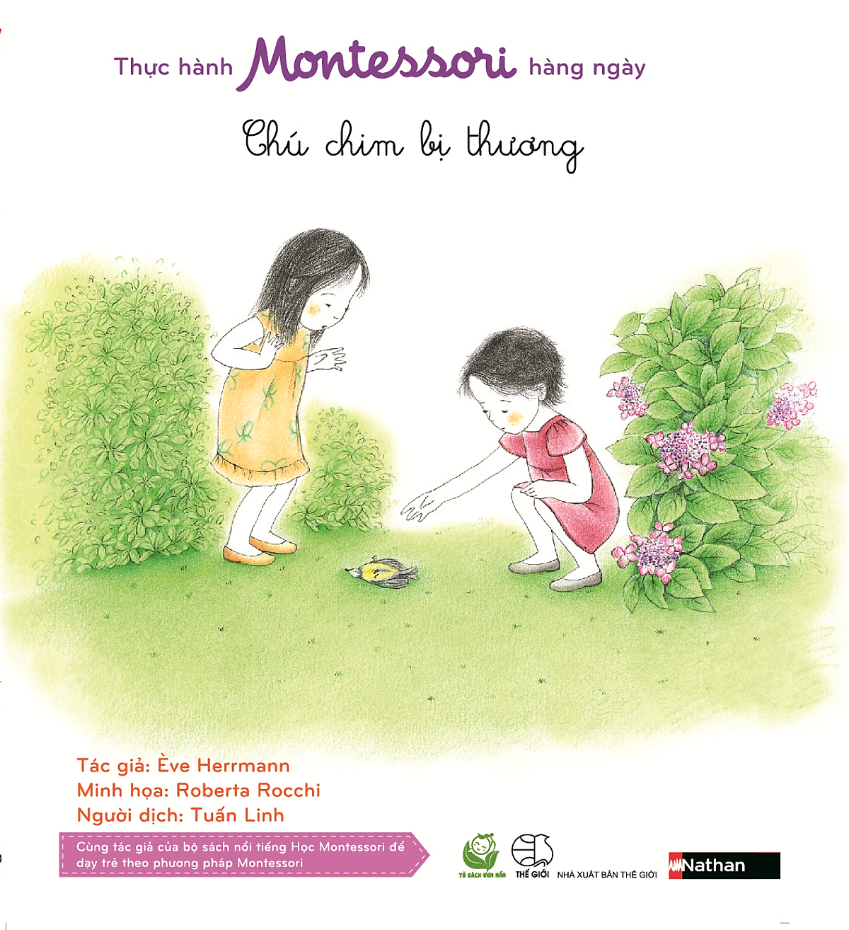 Thực Hành Montessori Hàng Ngày - Chú Chim Bị Thương