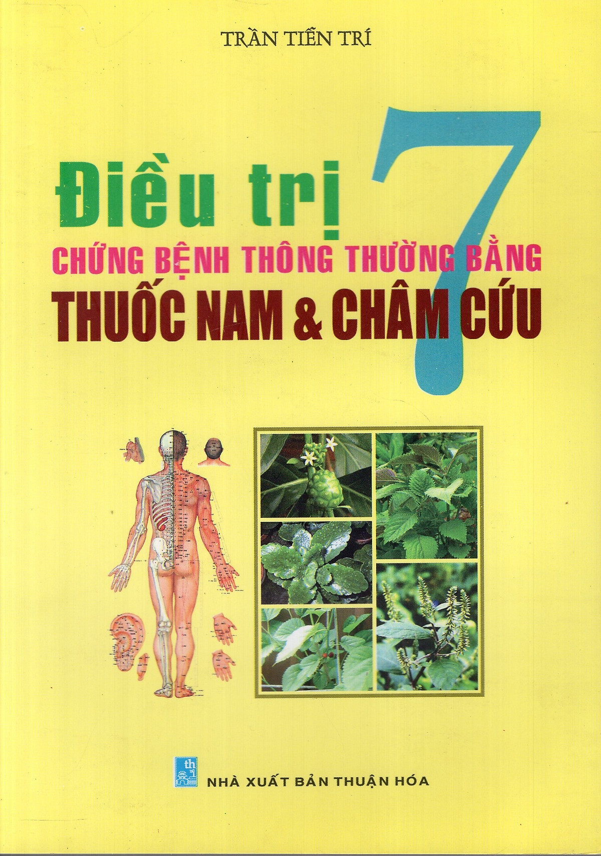 Điều Trị 7 Chứng Bệnh Thông Thường Bằng Thuốc Nam Và Châm Cứu