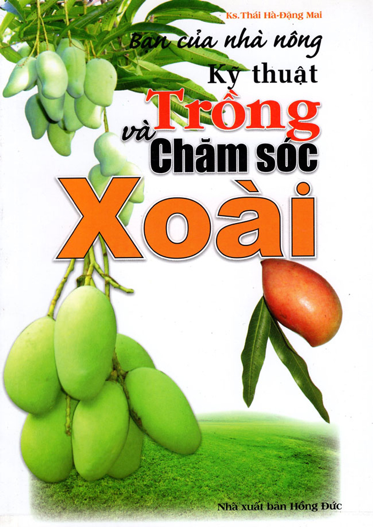 Bạn Của Nhà Nông - Kỹ Thuật Trồng Và Chăm Sóc Xoài