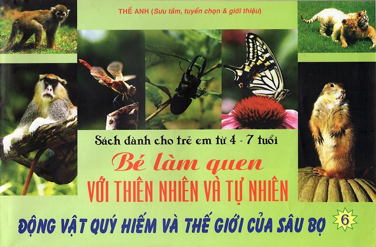 Bé Làm Quen Với Thiên Nhiên Và Tự Nhiên (Dành Cho Trẻ Em Từ 4 -7 Tuổi) - Tập 6