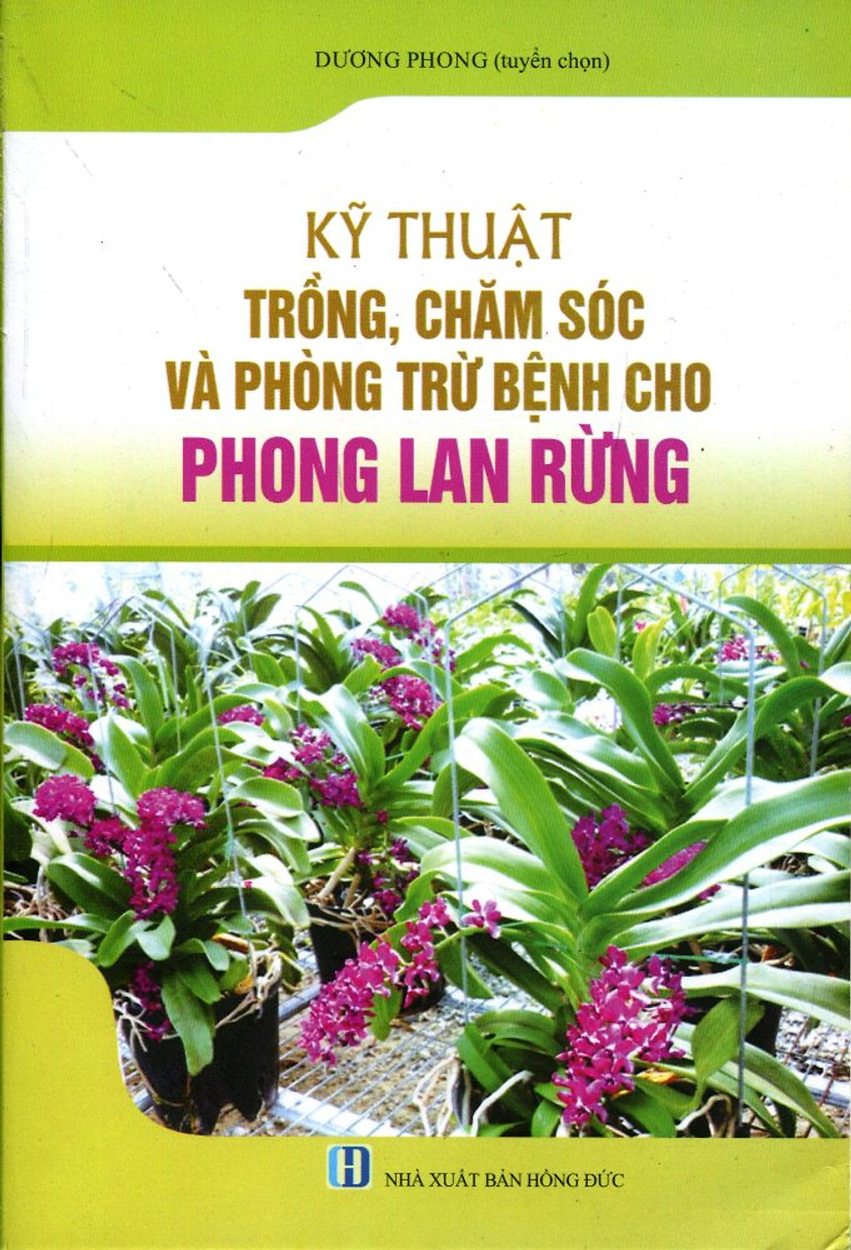 Kỹ Thuật Trồng, Chăm Sóc Và Trừ Bệnh Cho Phong Lan Rừng