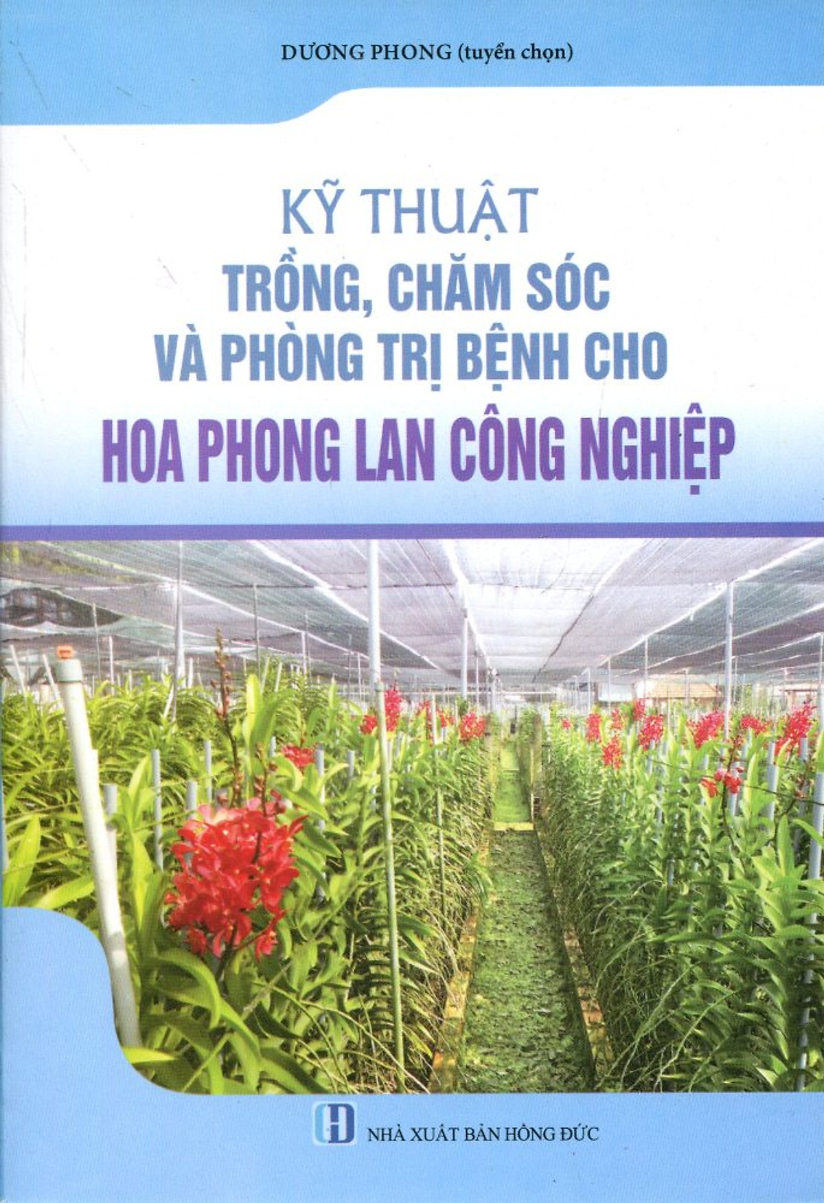 Kỹ Thuật Trồng, Chăm Sóc Và Trừ Bệnh Cho Phong Lan Công Nghiệp