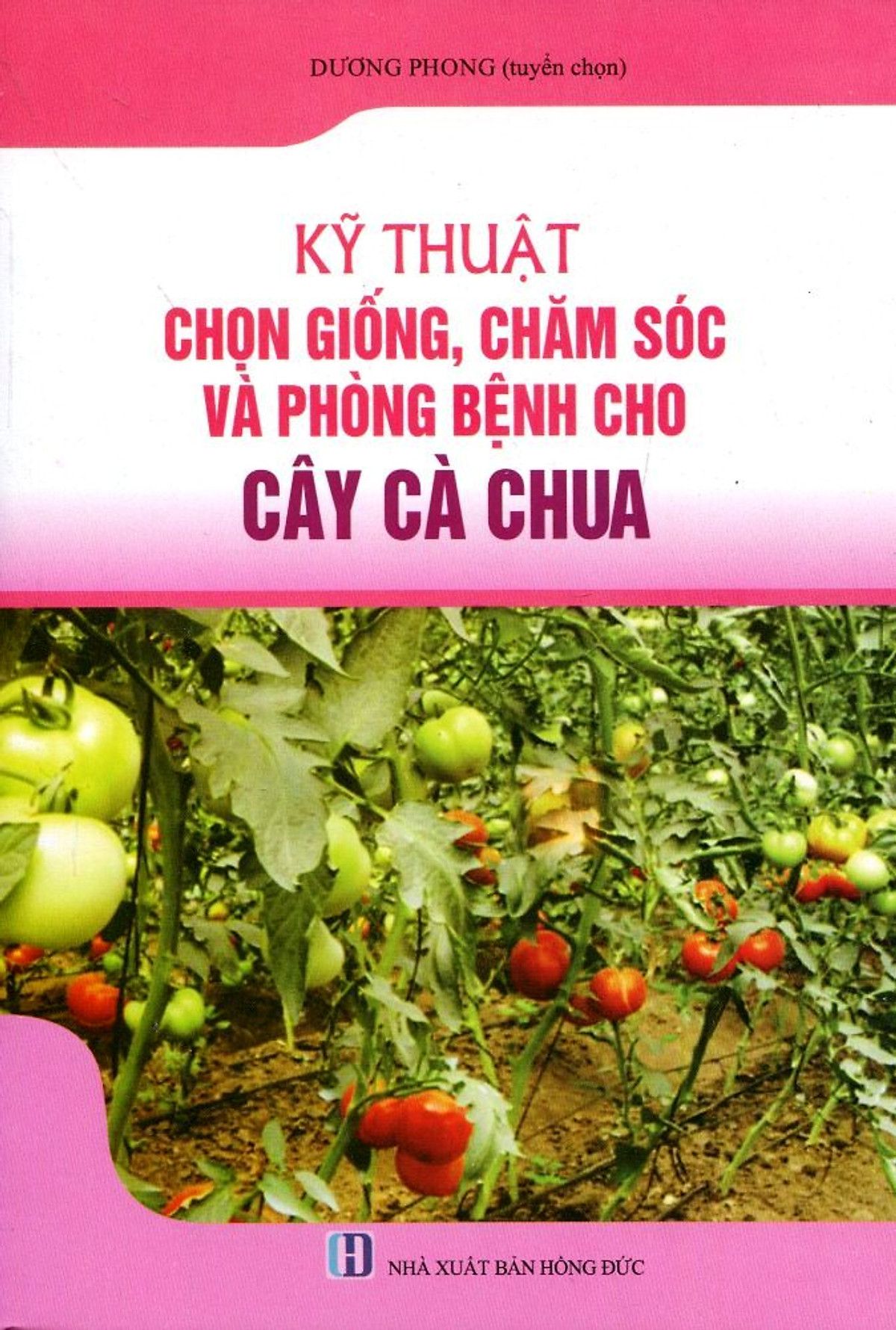 Kỹ Thuật Trồng, Chăm Sóc Và Trừ Bệnh Cho Cây Cà Chua