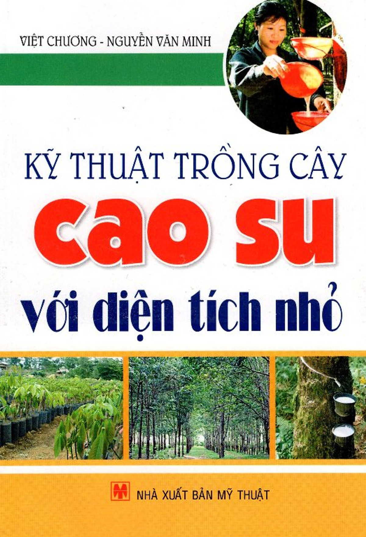 Kỹ Thuật Trồng Cây Cao Su Với Diện Tích Nhỏ