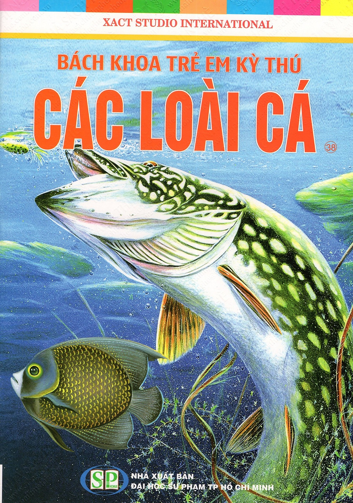 Bách Khoa Trẻ Em Kỳ Thú - Các Loài Cá (38)