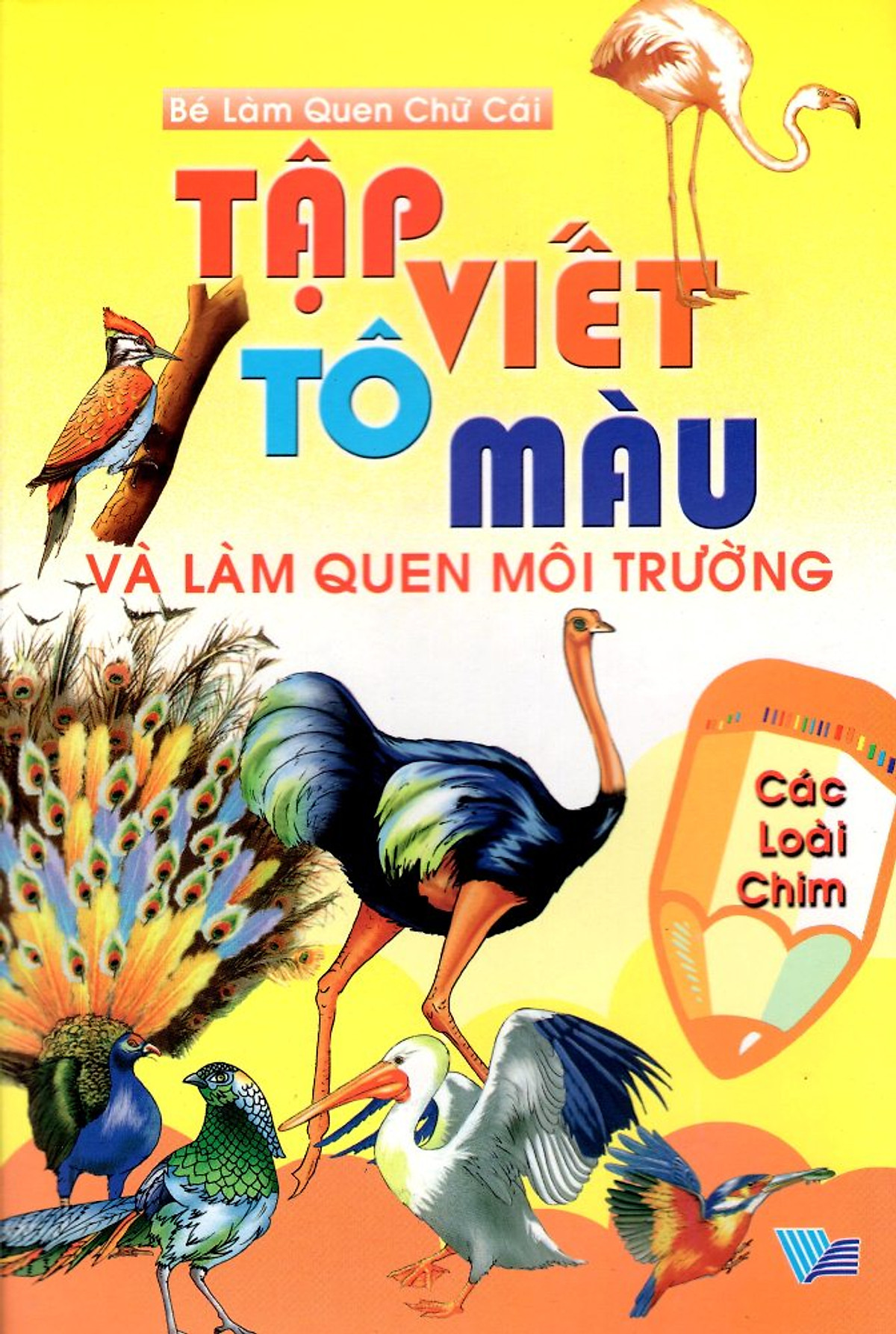 Tập Viết, Tô Màu Và Làm Quen Môi Trường Các Loài Chim