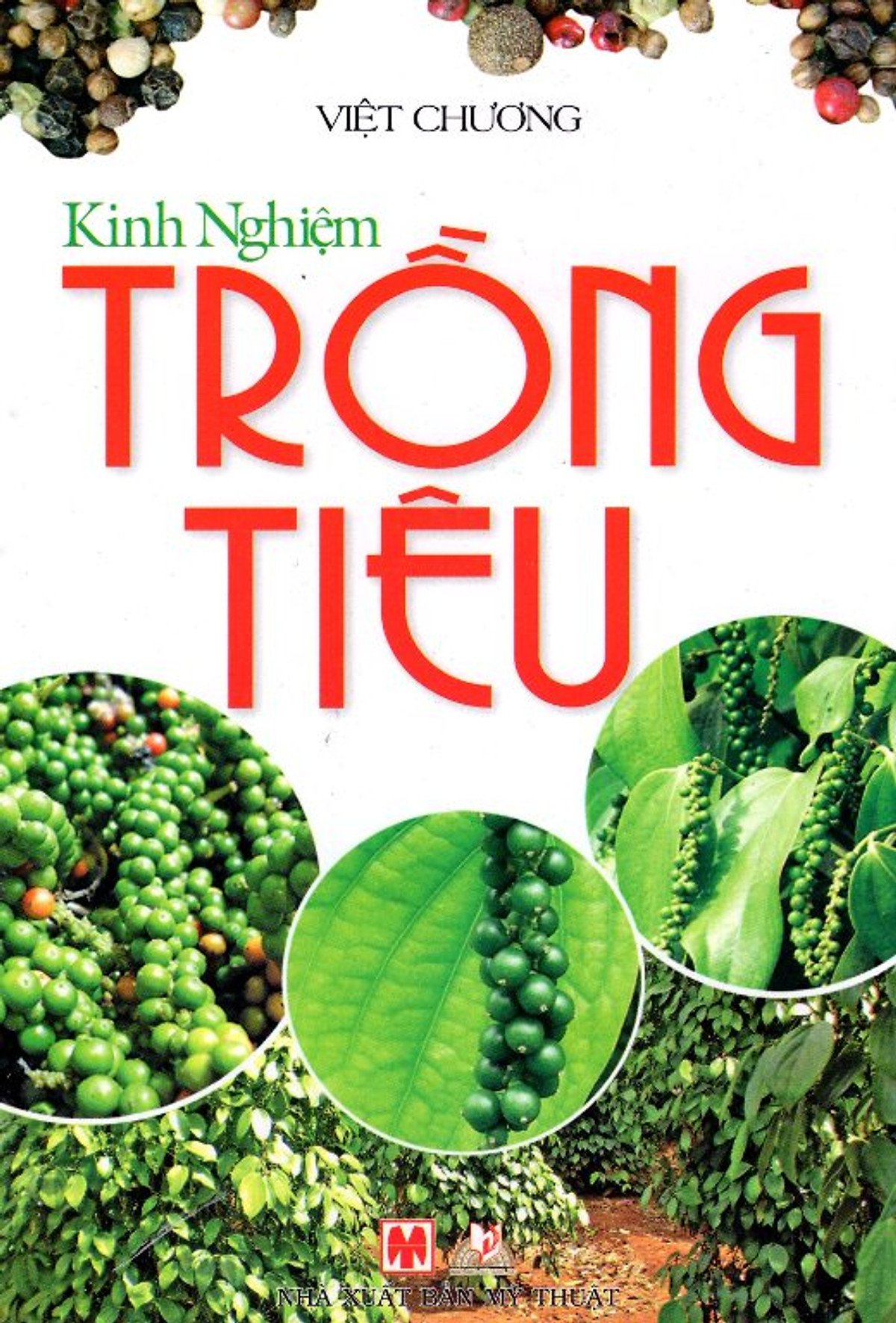 Kinh Nghiệm Trồng Tiêu