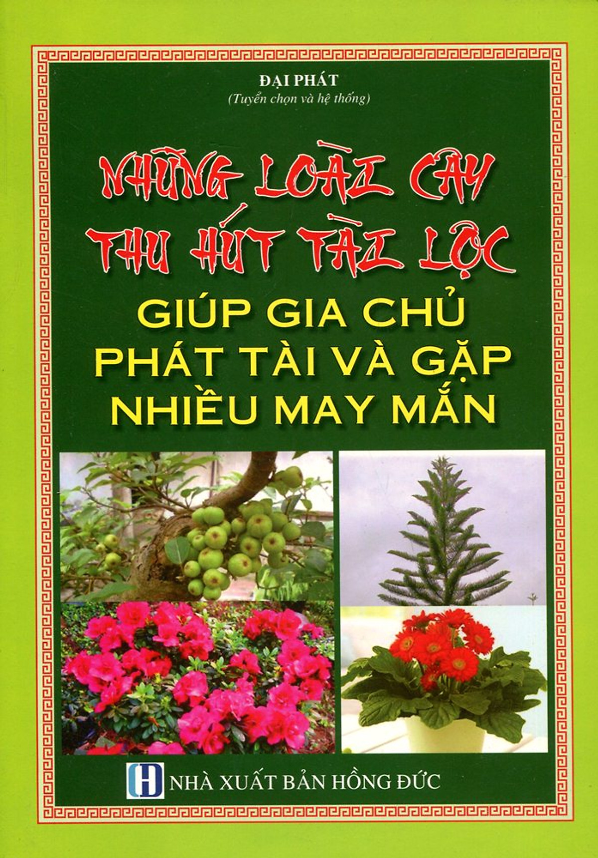 Những Loài Cây Thu Hút Tài Lộc Giúp Gia Chủ Phát Tài Và Gặp Nhiều May Mắn