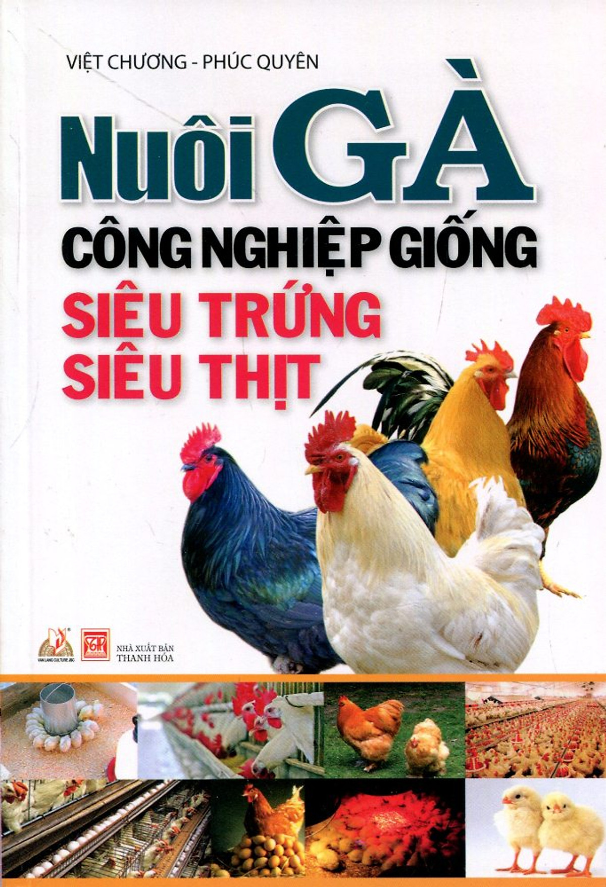 Nuôi Gà Công Nghiệp Giống Siêu Trứng, Siêu Thịt (Tái Bản)