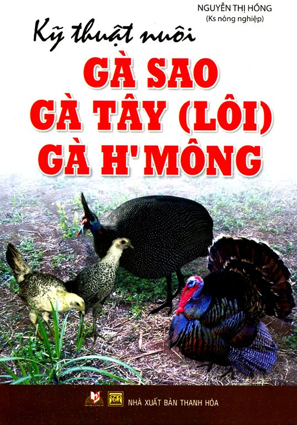 Kỹ Thuật Nuôi Gà Sao, Gà Tây (Lôi), Gà H'mông