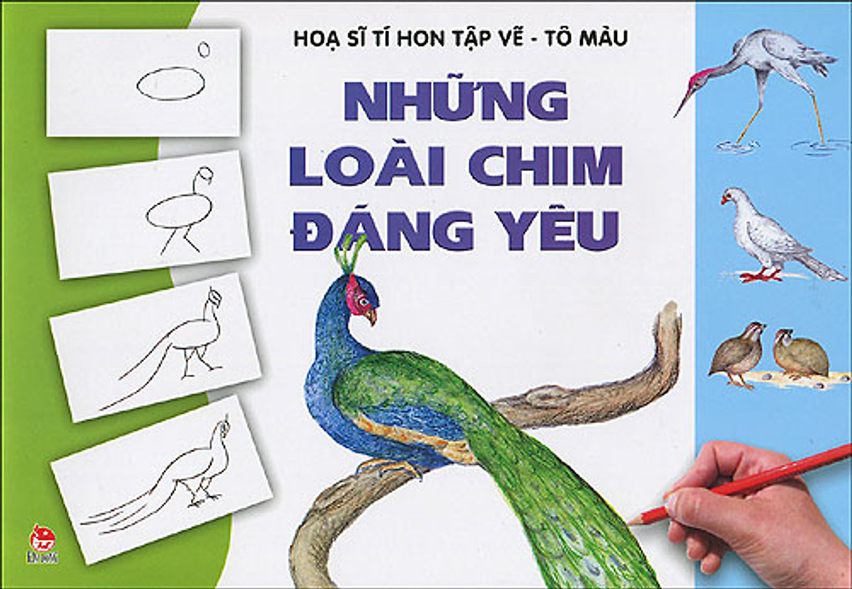 Họa Sĩ Tí Hon Tập Vẽ - Tô Màu: Những Loài Chim Đáng Yêu (Quyển 1)