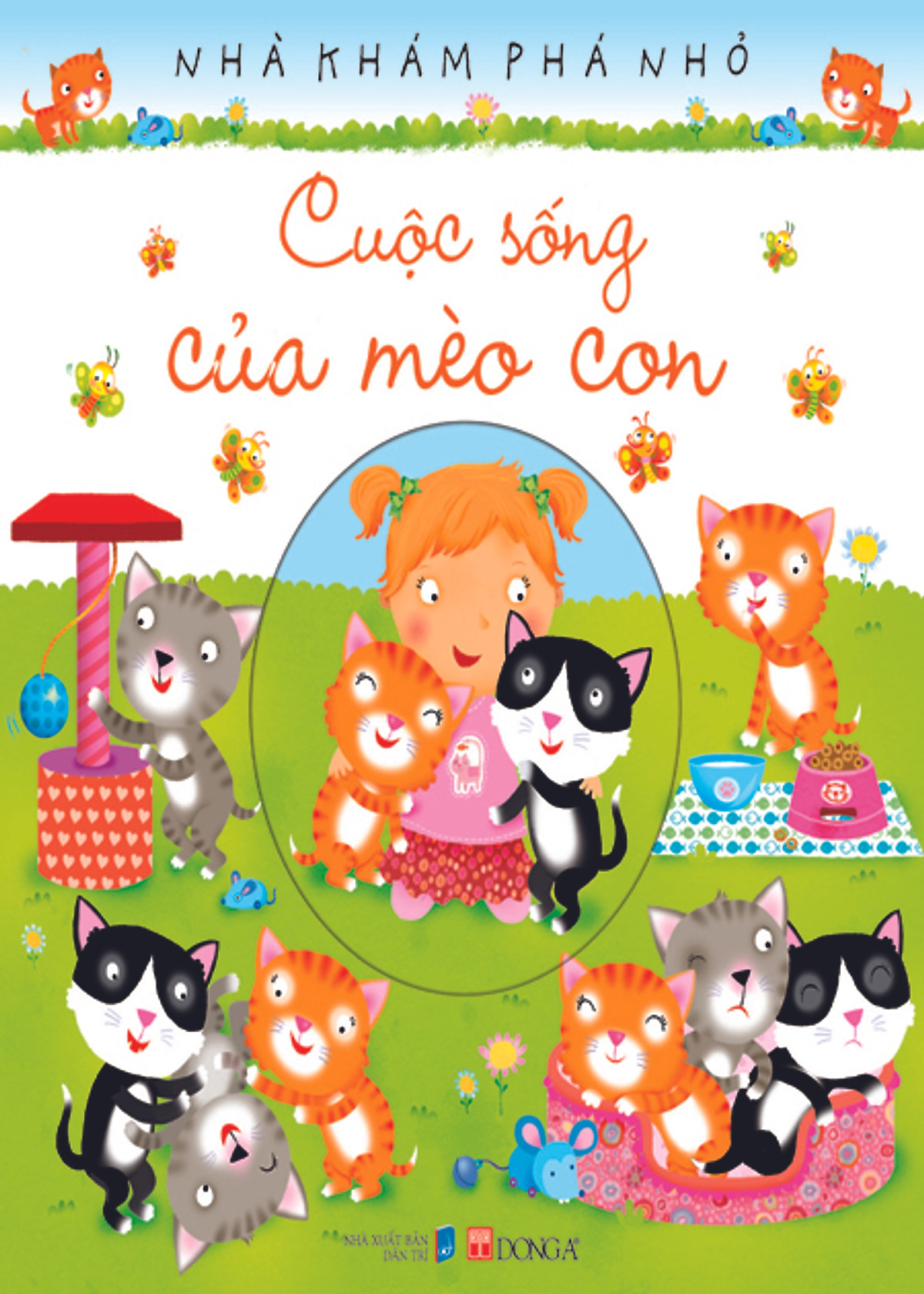 Cuộc Sống Của Mèo Con