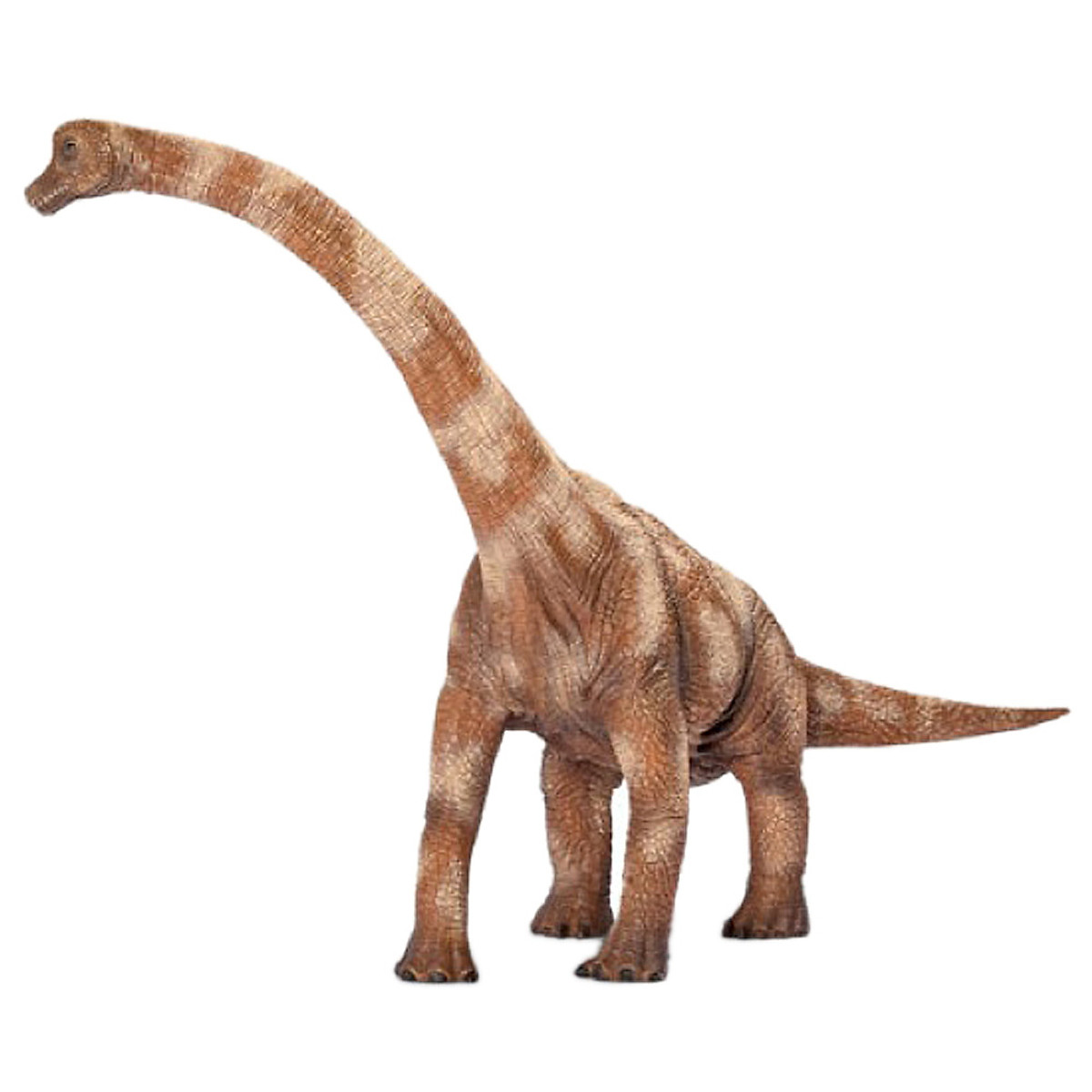 Mua Mô Hình Động Vật Schleich Khủng Long Cổ Dài Brachiosaurus - 14515 Mua Mô Hình Động Vật Schleich Khủng Long Cổ Dài Brachiosaurus - 14515