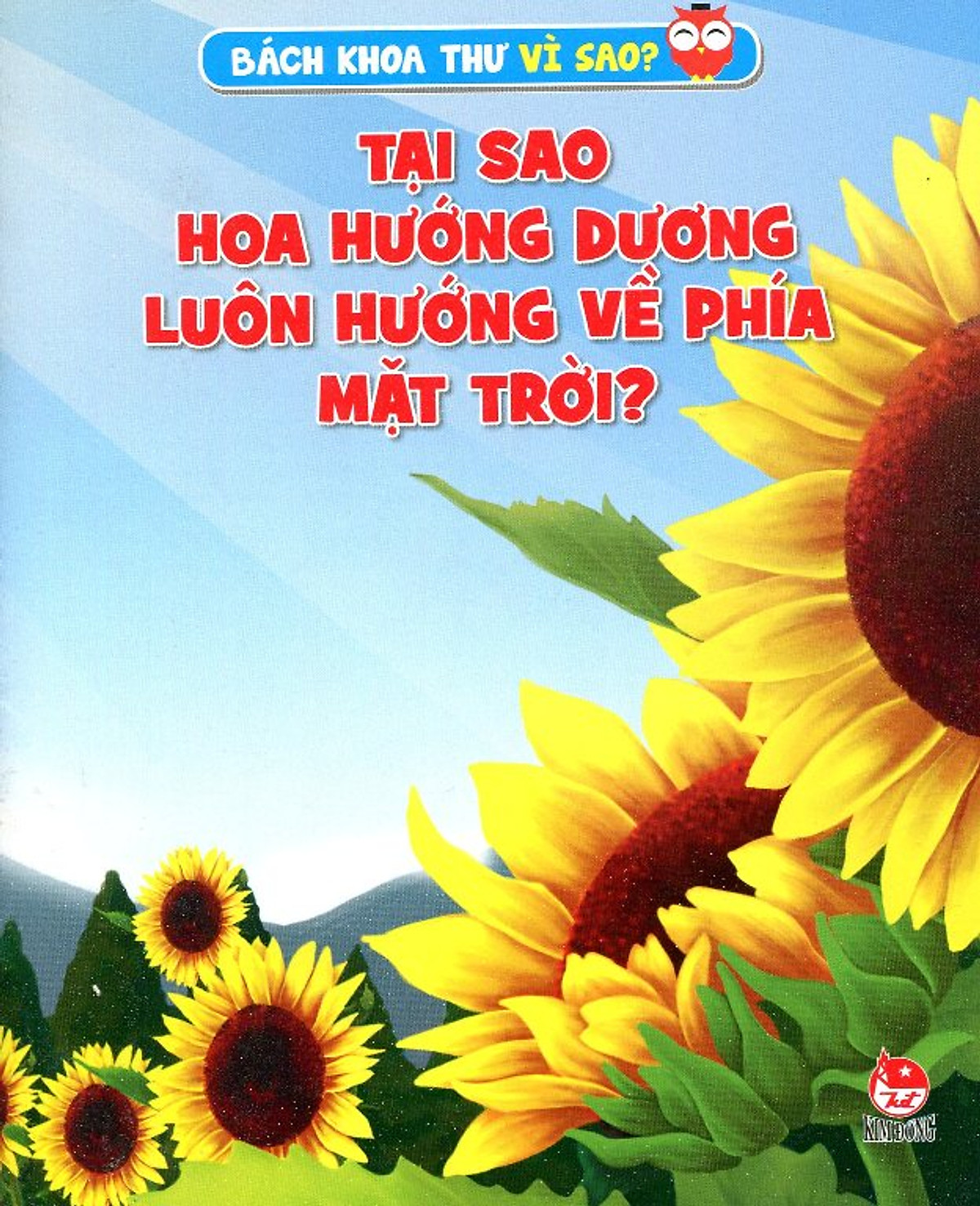 Tại Sao Hoa Hướng Dương Luôn Hướng Về Phía Mặt Trời