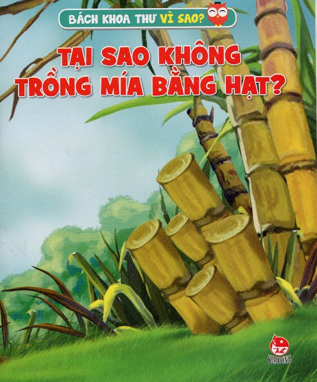 Tại Sao Không Trồng Mía Bằng Hạt