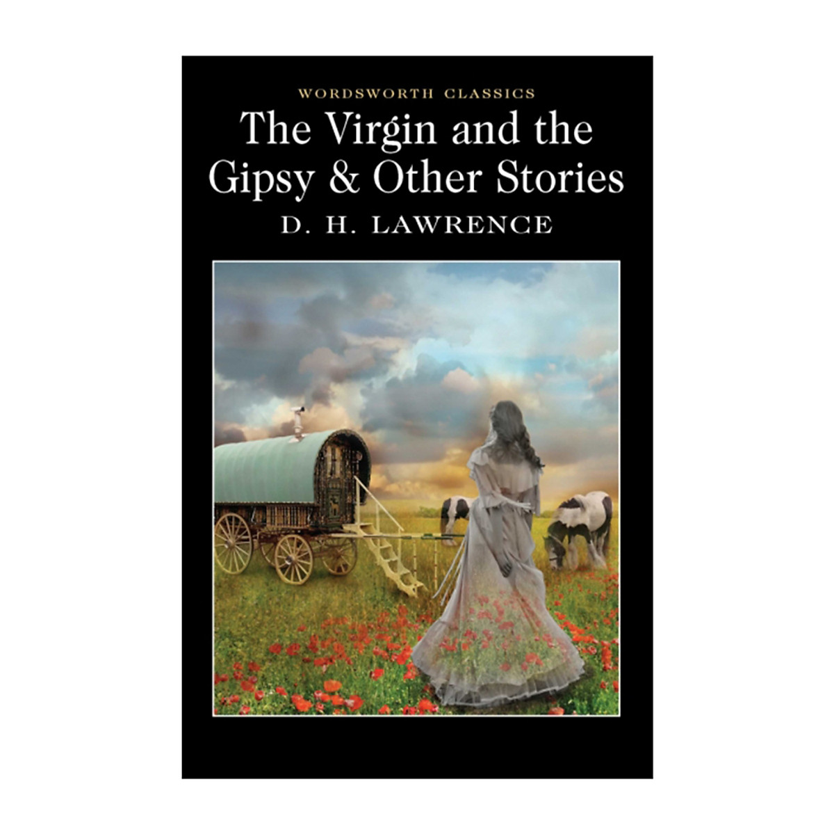 The Virgin Anh The Gipsy & Other Stories (Paperback)