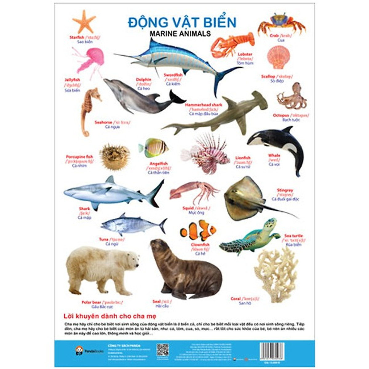 Poster - Động Vật Biển