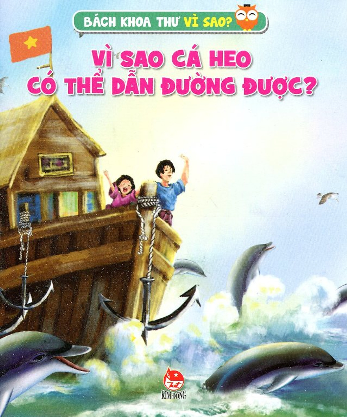 Vì Sao Cá Heo Có Thể Dẫn Đường Được