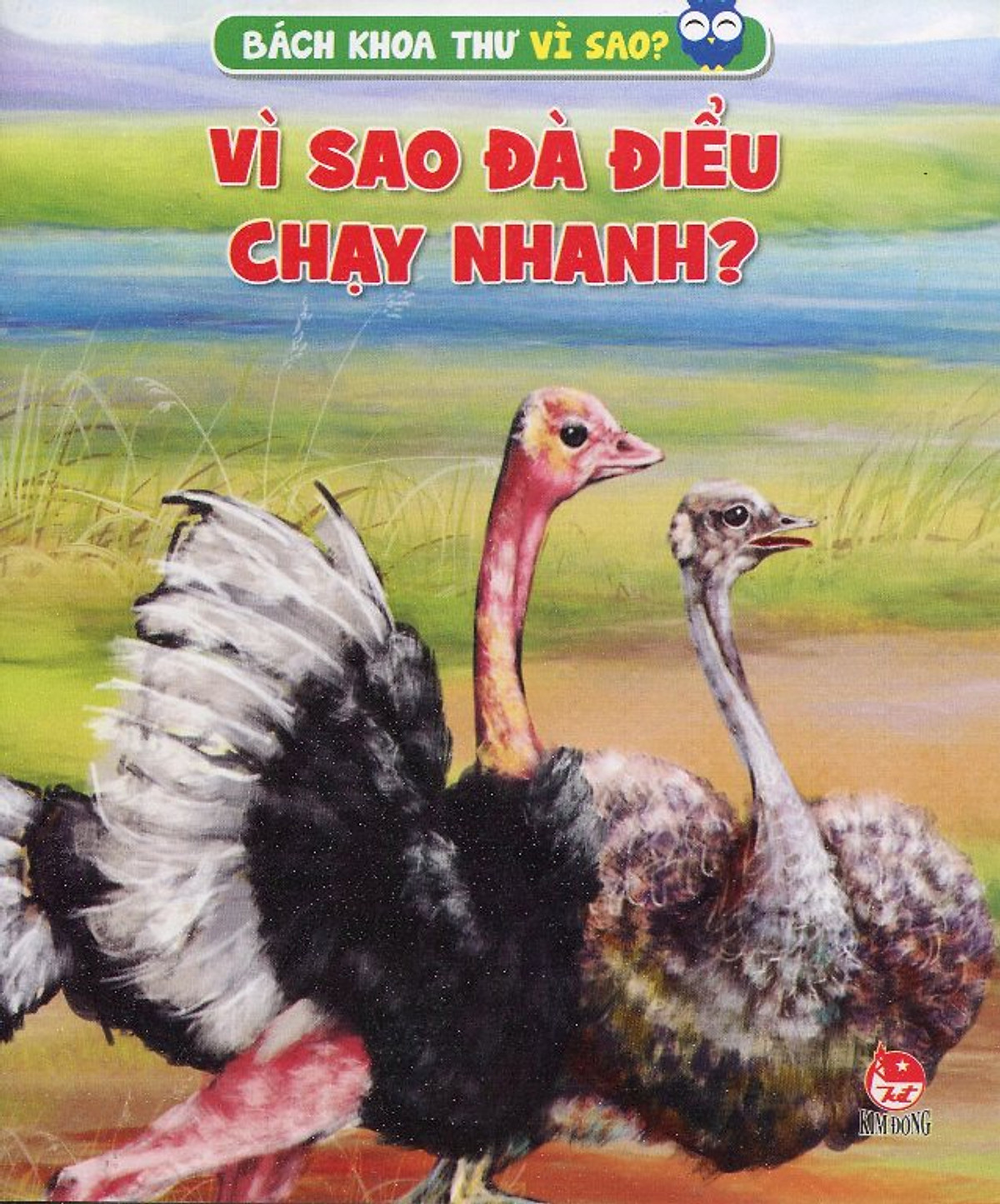 Vì Sao Đà Điểu Chạy Nhanh