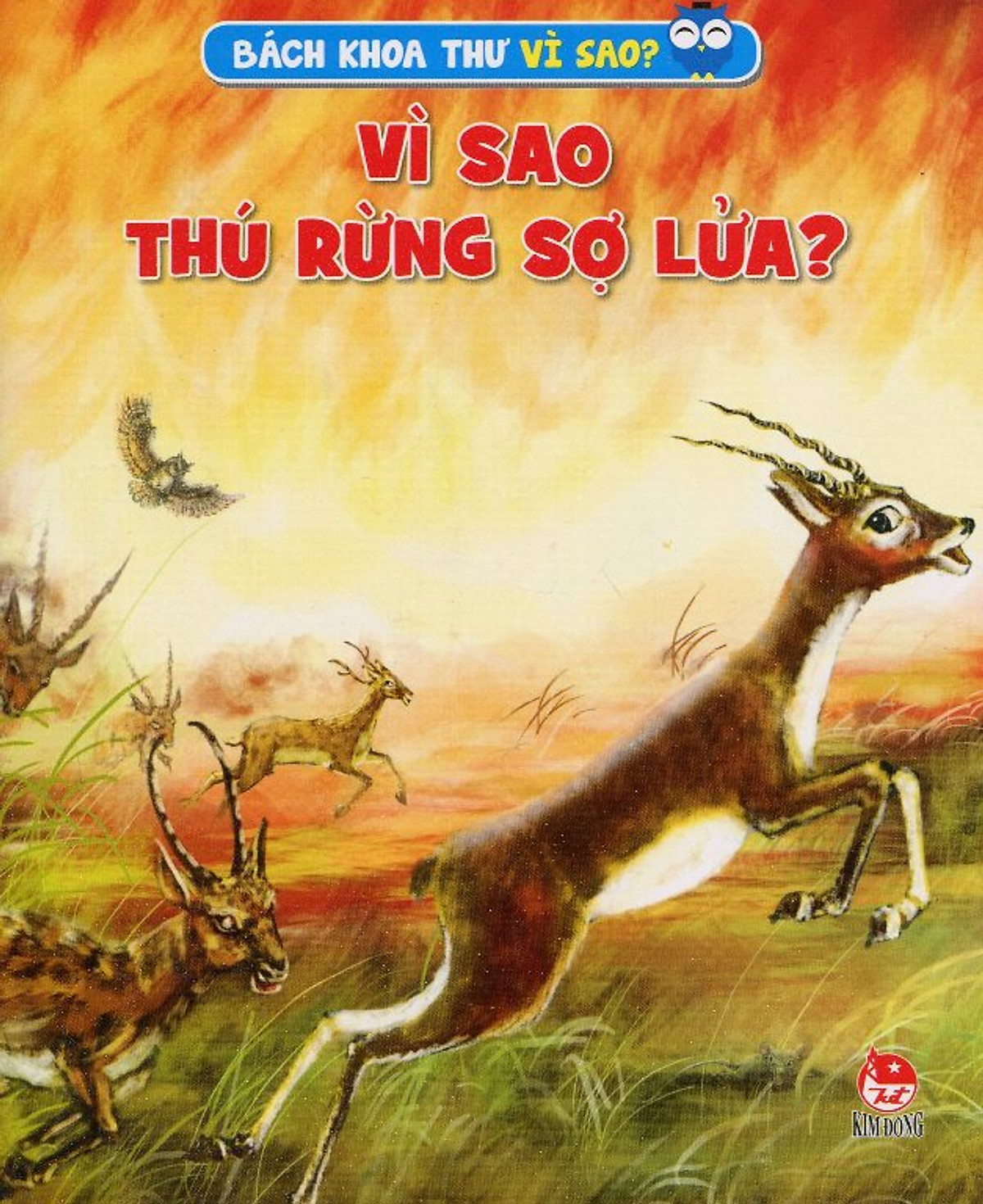 Vì Sao Thú Rừng Sợ Lửa