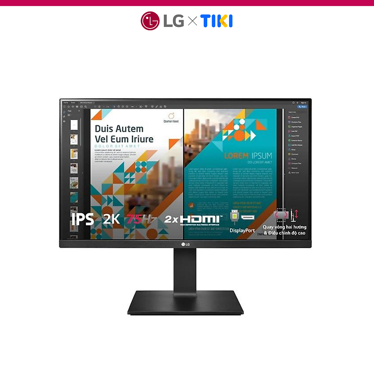 Màn hình máy tính LG QHD 23.8 IPS HDR10 chân đế linh hoạt 24QP550-B Hàng Chính Hãng