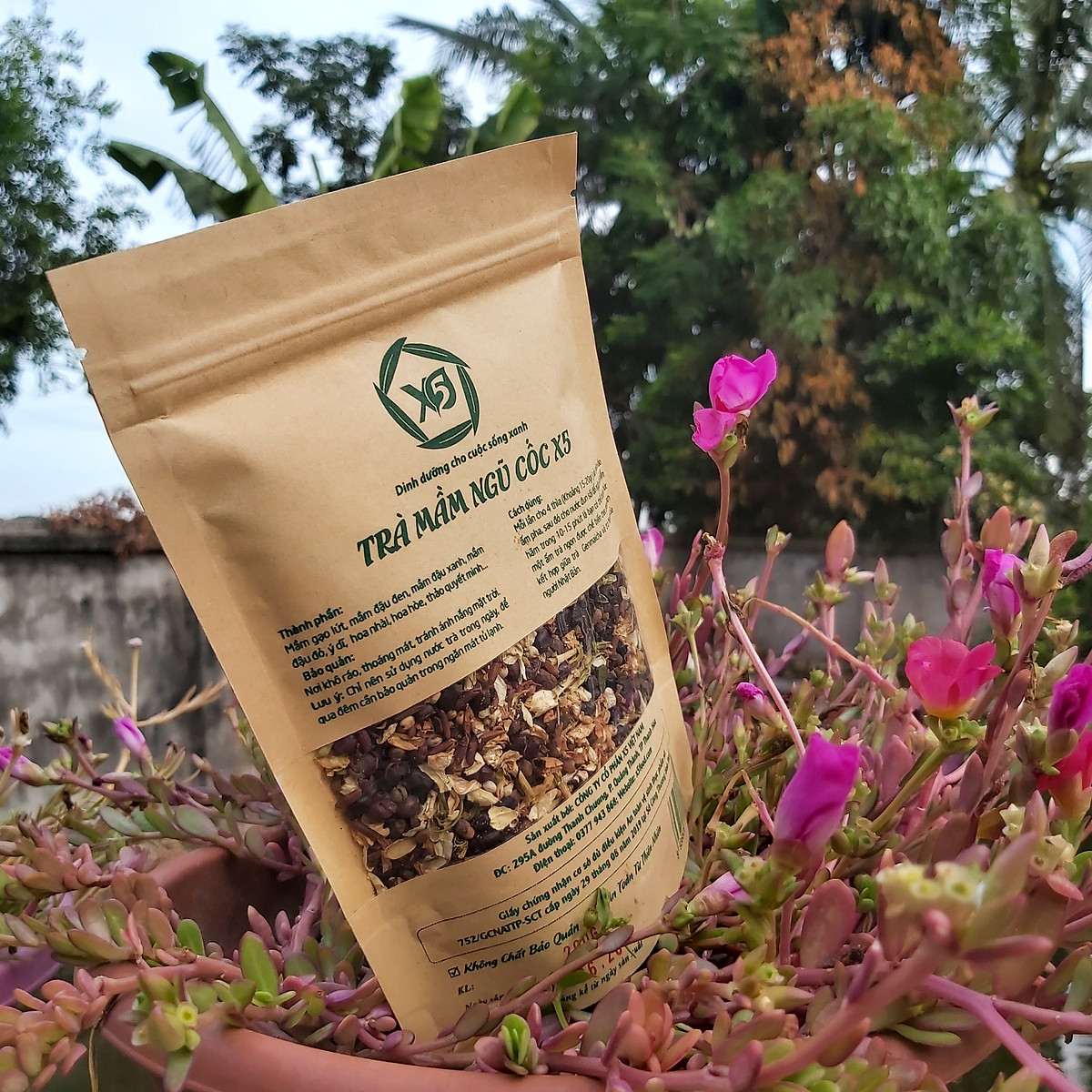 Trà Mầm Ngũ Cốc X5 (200gr): Tan Mỡ bụng - Chống Lão Hóa Da - Ngủ ngon - Thải Độc- Khỏe Tim Mạch - Ngừa Tiểu Đường- Chống Stress
