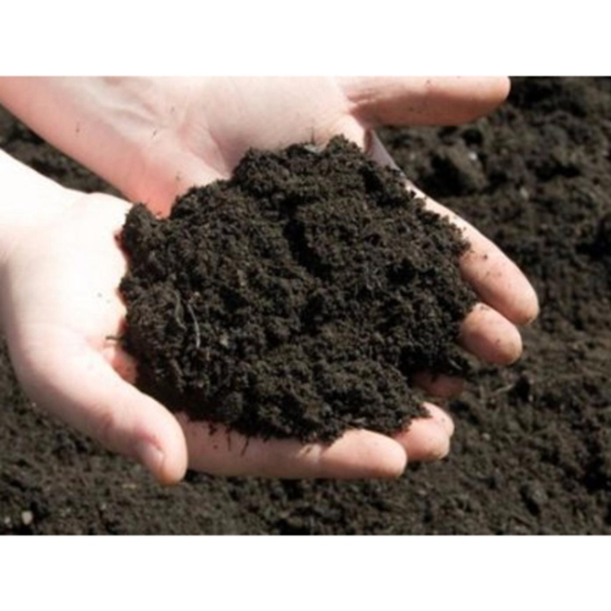 Удобрение почвы. Растительный грунт (торфо-песчаная смесь). Бактериальные удобрения. Снижение плодородия почв. Плохая почва.