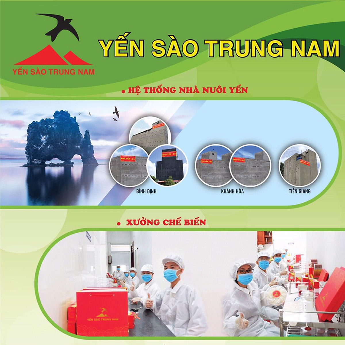 Tổ Yến Sào Tinh Chế (5 Tổ/40g/Hộp) (Tổ Yến làm sạch/Tổ Yến Sạch chế biến từ Tổ Yến Thô /Tổ Yến còn lông) Yến Sào Trung Nam