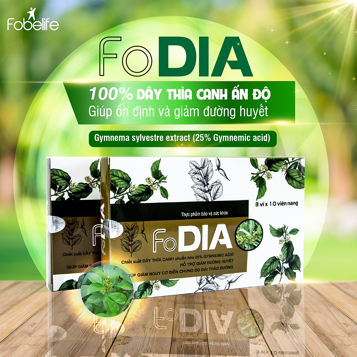 Viên Uống Dây Thìa Canh Hỗ Trợ Bệnh Tiểu Đường Ổn Định Đường Huyết FODIA - Hộp 30 viên
