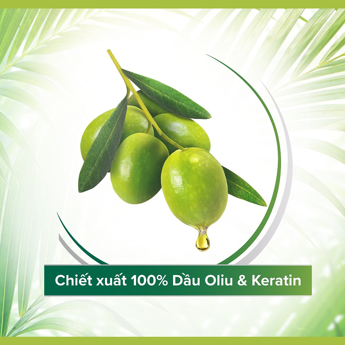 Dầu gội xả 2in1 Palmolive thiên nhiên 600ml