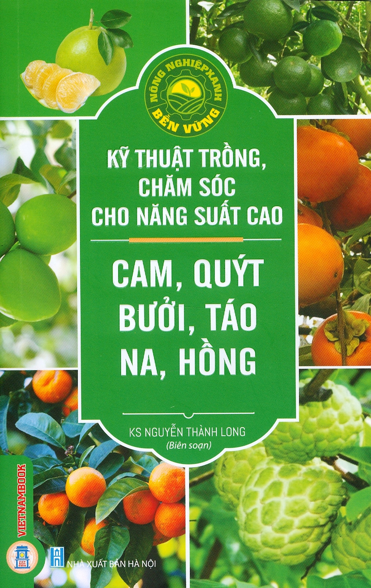 Kỹ Thuật Trồng, Chăm Sóc Cho Năng Suất Cao: Cam, Quýt, Bưởi, Táo, Na, Hồng