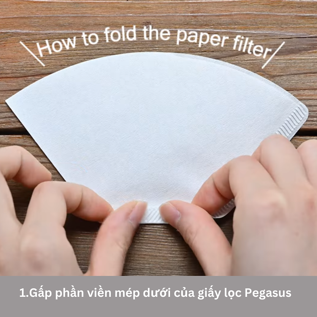 Giấy lọc cà phê Hario Pegasus 100 cái PEF-02-100M 2-4 cups, màu tự nhiên