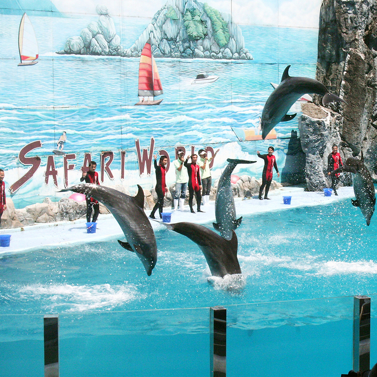 Mua voucher, dịch vụ Vé Safari World Bangkok, Thái Lan - Package C: Safari Park + Marine Park + Show Thú online | Tiki