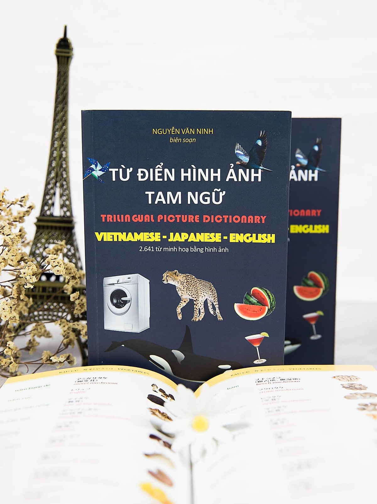 Từ điển hình ảnh tam ngữ Việt- Nhật- Anh