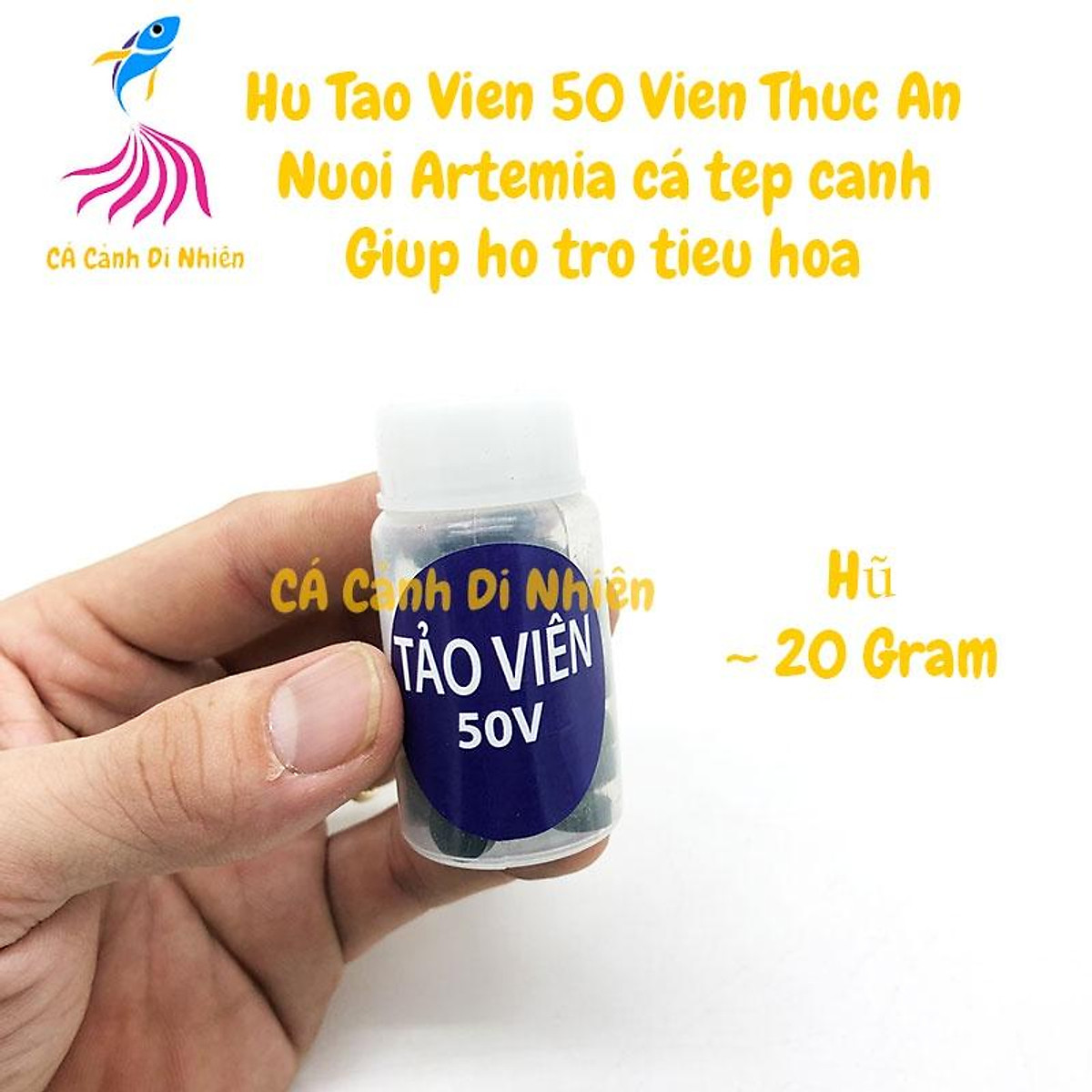 Top 75 về mô hình nuôi artemia mới nhất  Tin học Đông Hòa