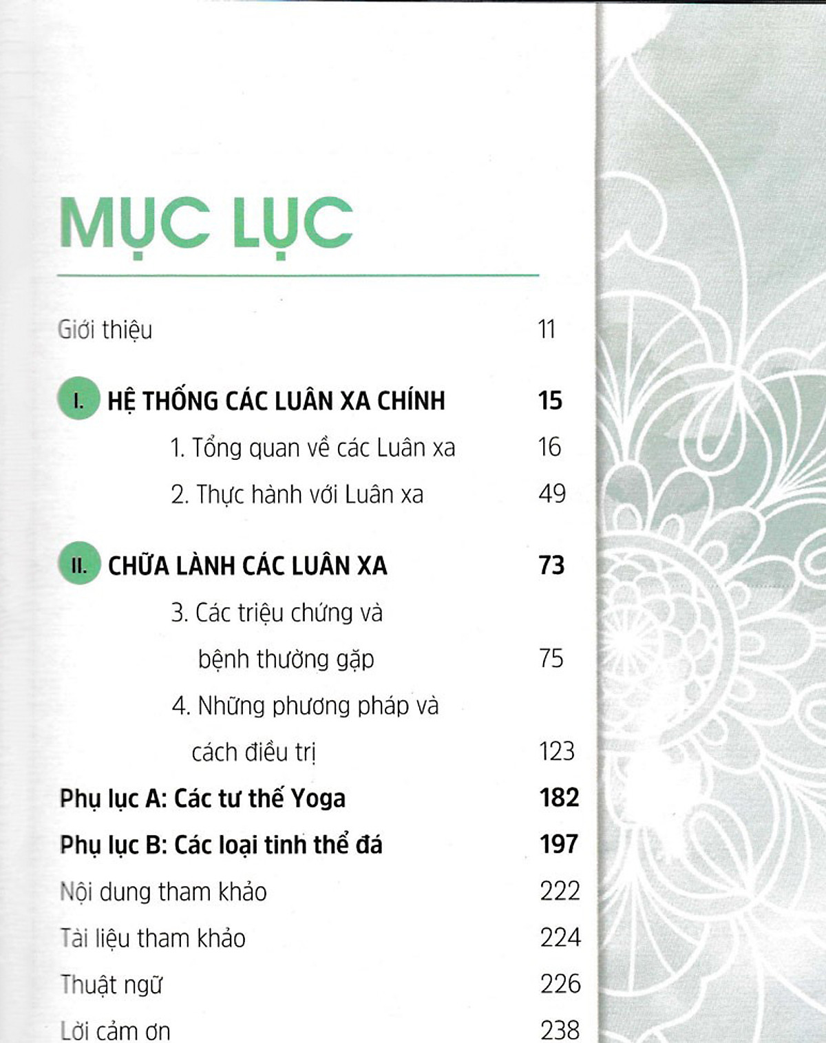 Sách - Chữa bệnh bằng luân xa - Hướng dẫn Cơ bản các Kĩ thuật Tự phục hồi bằng phương pháp Cân bằng Luân Xa