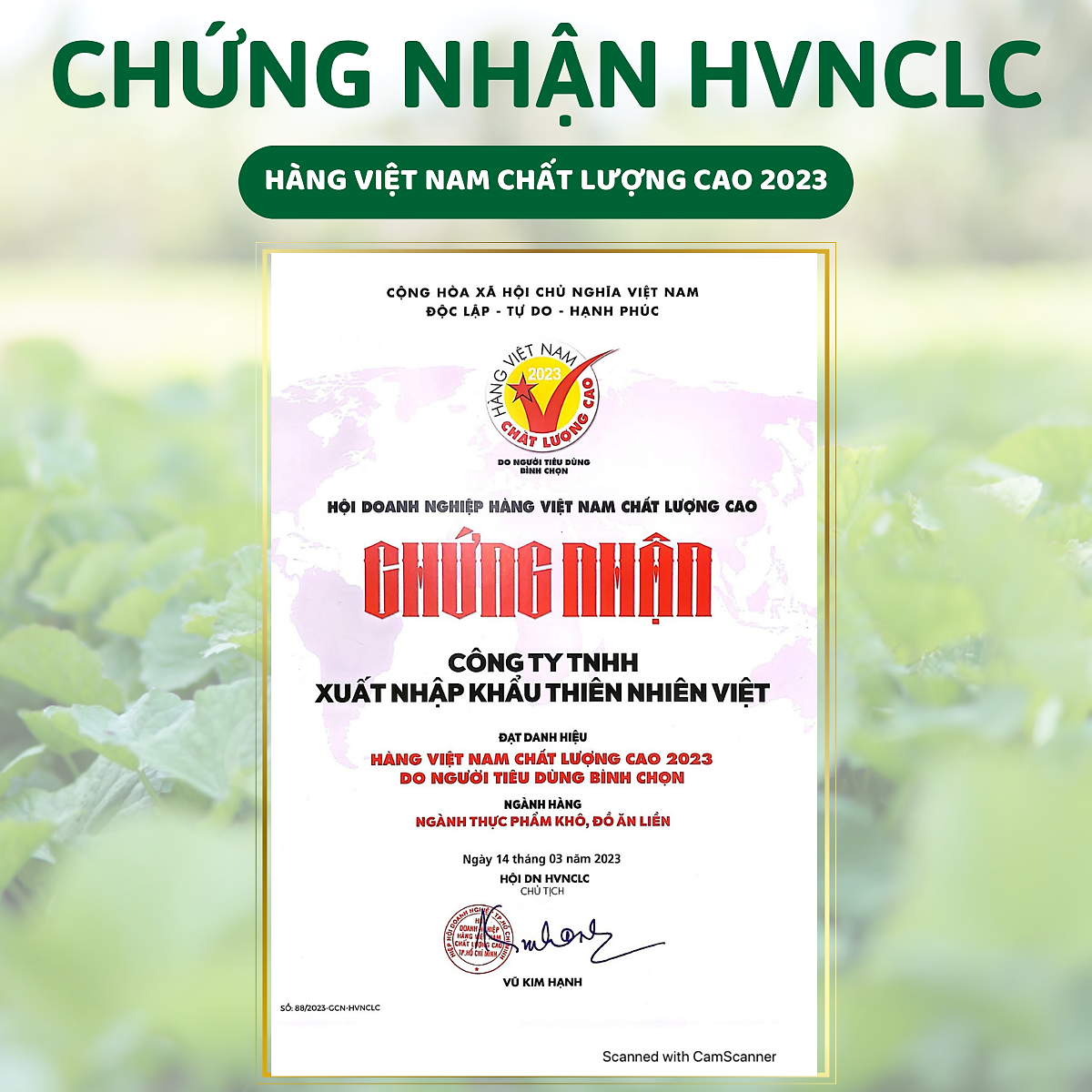 Bột Diếp Cá Sấy Lạnh Nguyên Chất Gói 100gr - Giảm mở, giảm cân, kháng viêm, hỗ trợ trĩ, táo bón