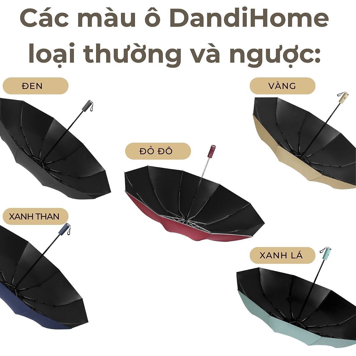 Mua Ô (dù) tự động 2 chiều cao cấp DandiHome chống UV - Xanh mint - Ngược tại DandiHome Việt Nam Mua Ô (Dù) Tự Động 2 Chiều Cao Cấp Dandihome Chống Uv - Xanh Mint - Ngược Tại Dandihome Việt Nam