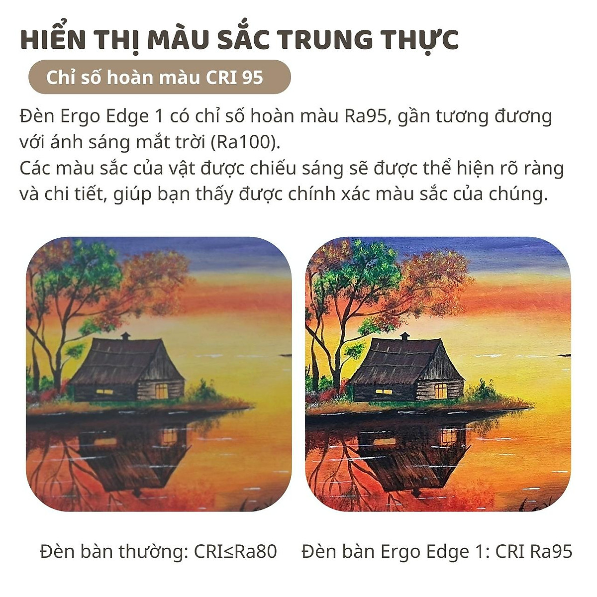 Đèn bàn học Led bảo vệ mắt Ergo Edge 1 DandiHome chống cận để làm việc, đọc sách cao cấp có thể kéo dài và gấp gọn - 3 chế độ sáng thông minh