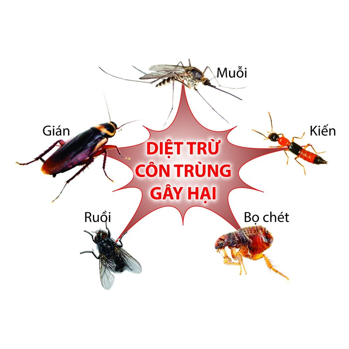 Combo 5 Gói Thuốc Diệt Muỗi, Gián, Kiến, Ruồi, Bọ Chét, Kiến Ba Khoang  Fendona 10Sc (5Ml) | Phân Bón | Tiki