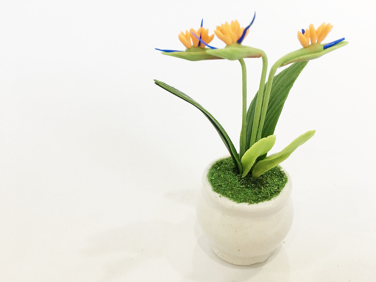 Mua Chậu hoa đất sét mini - Cây hoa thiên điểu / Chim thiên đường (phát màu  ngẫu nhiên) - Quà tặng trang trí handmade