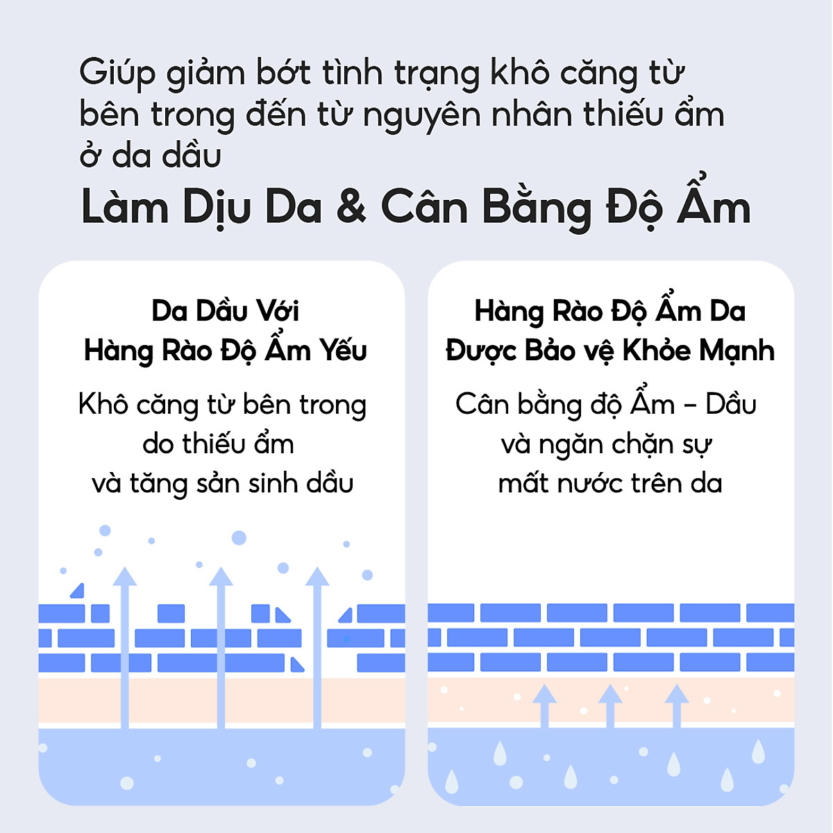 Kem Dưỡng Ẩm Dành Cho Da Dầu Và Da Hỗn Hợp Laneige Water Bank Blue HA Cream Oily 50ml