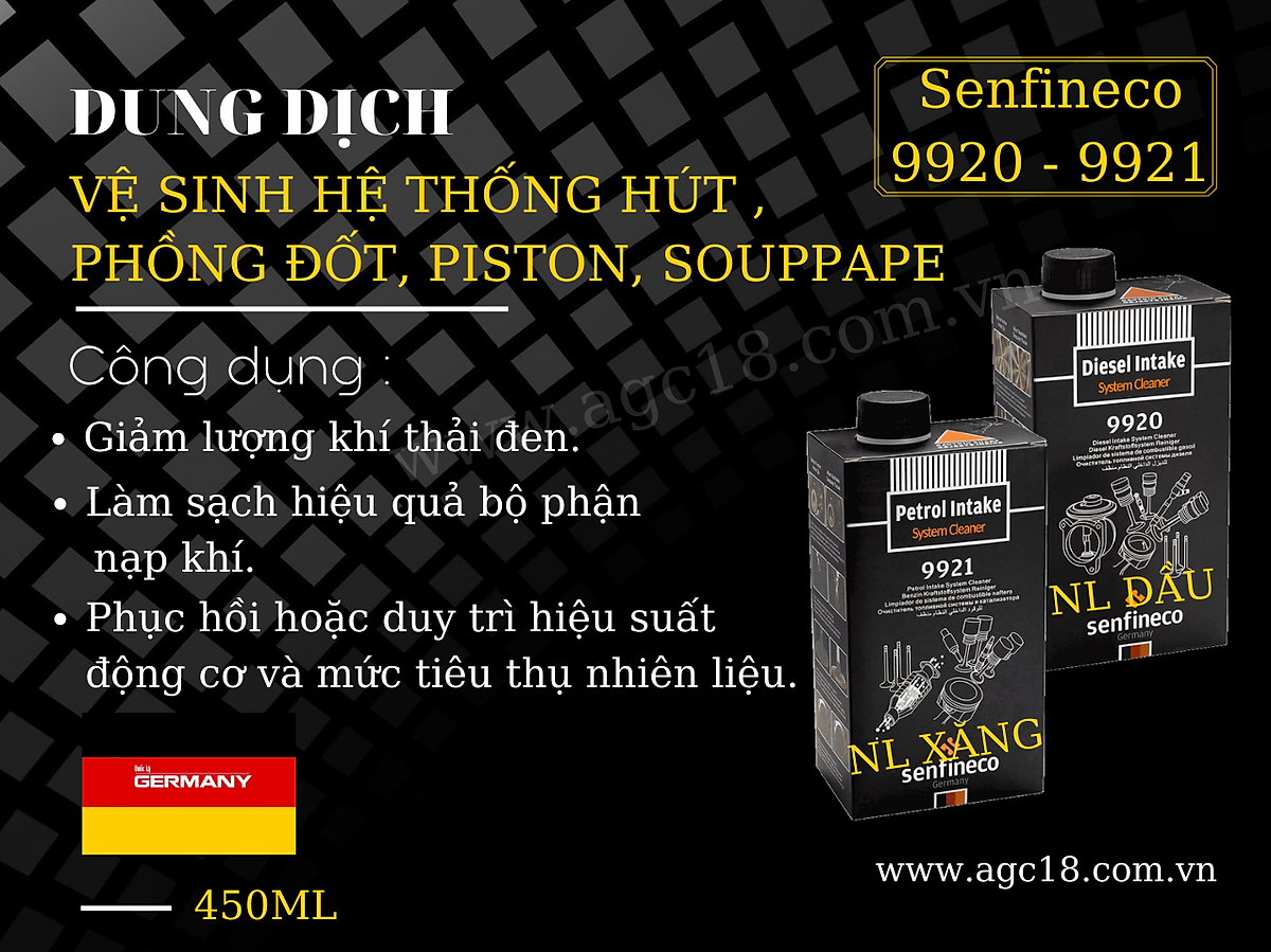 Vệ Sinh Hệ Thống Hút Xăng , Phồng Đốt , Piston , Souppape Động Cơ Xăng Senfineco 9921