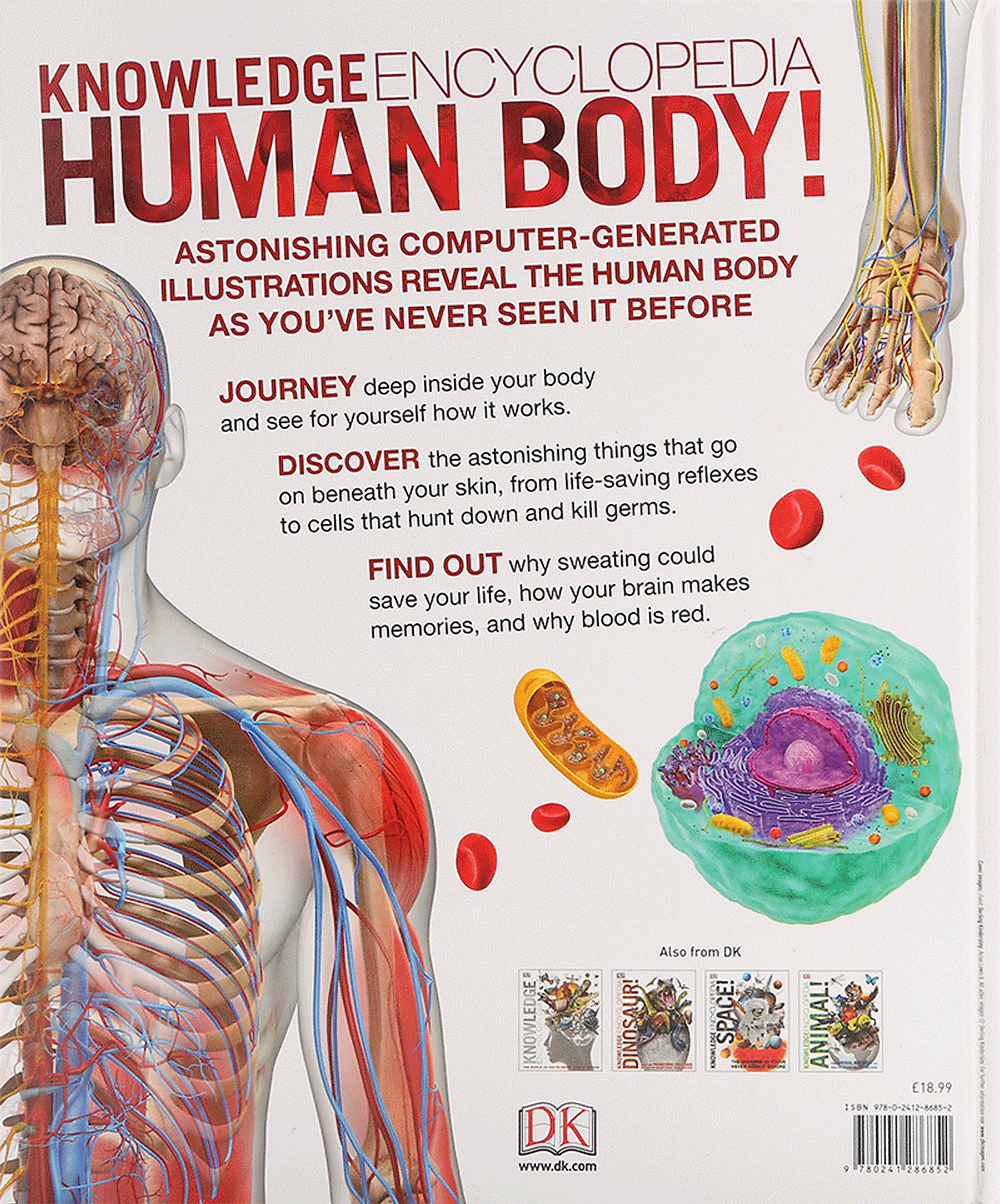 Knowledge Encyclopedia Human Body!