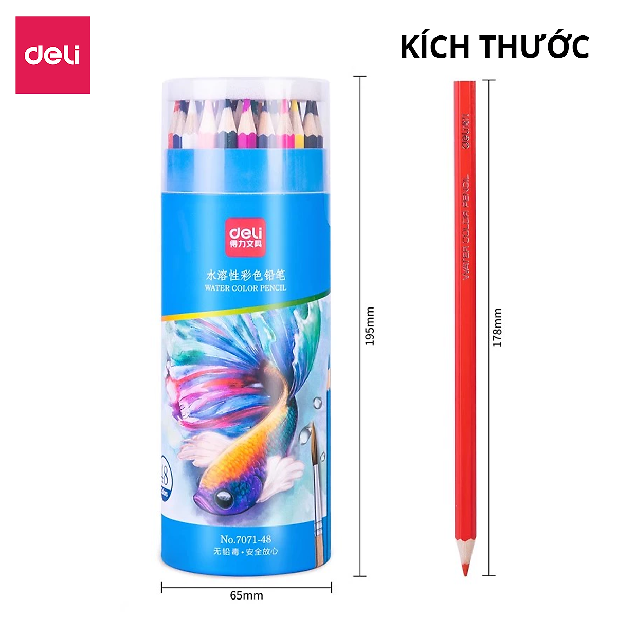 Bút Chì Màu Xóa Được Deli - Bút Chì Màu Học Sinh Chì Đen Cao Cấp Lõi Chì Dày Hơn - 12/24/36/48 Màu Sắc Tươi Sáng