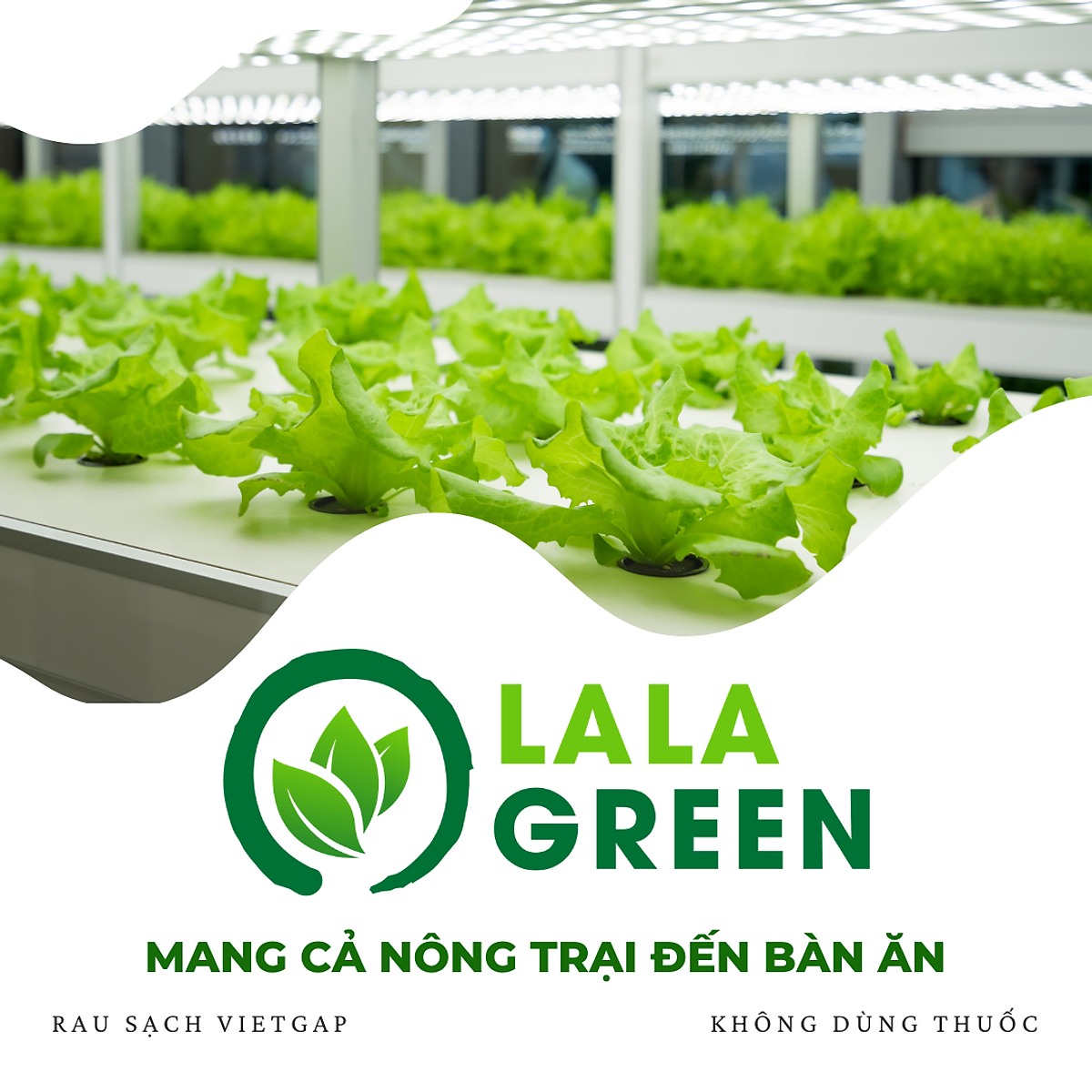 [Chỉ Giao Hcm] Hành Tím (Vietgap/Sạch) - 500G