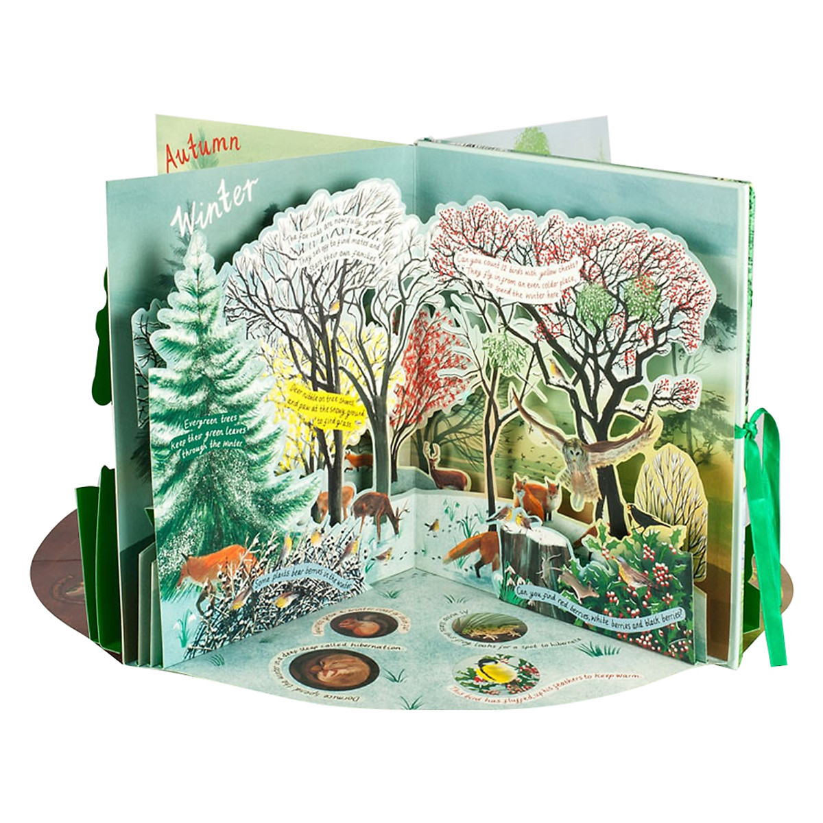 A Year in Nature: A Carousel Book of the Seasons (Pop-Up)